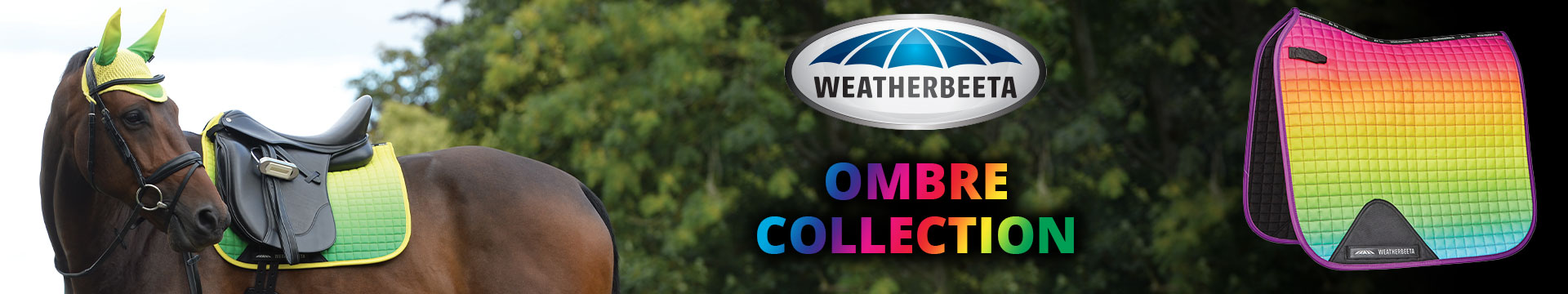 Weatherbeeta Ombre Collection 