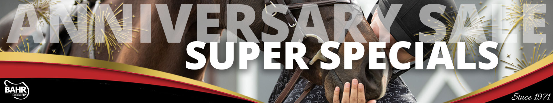 Anniversary Sale Super Specials