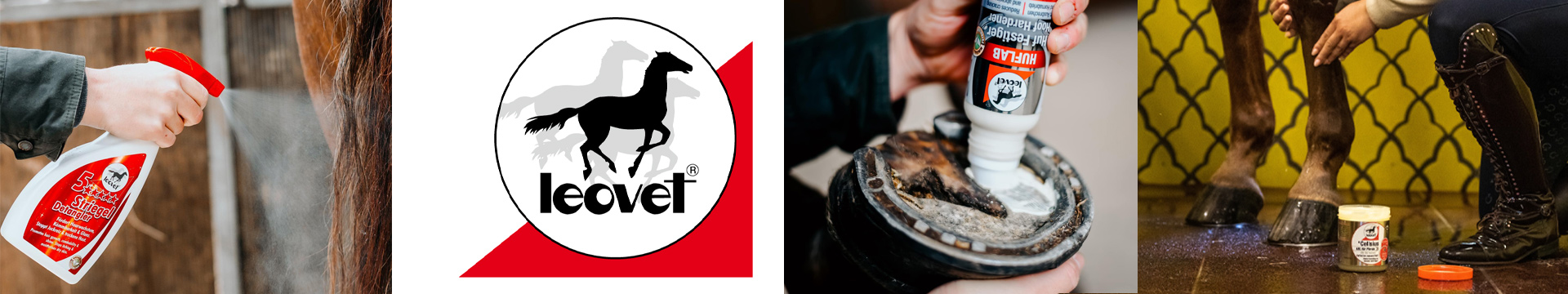 Leovet
