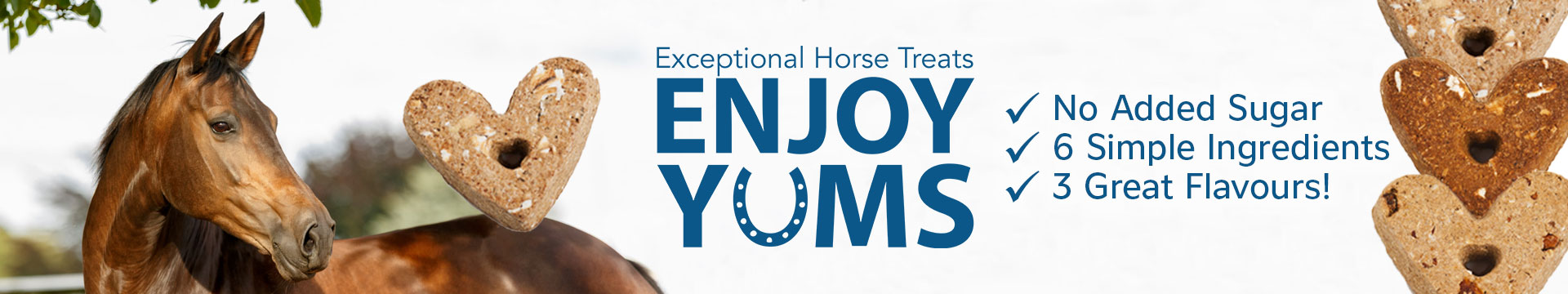 Enjoy Yums 