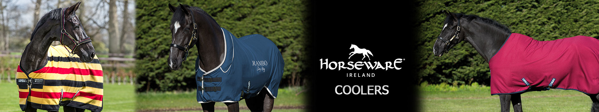 Horseware Coolers
