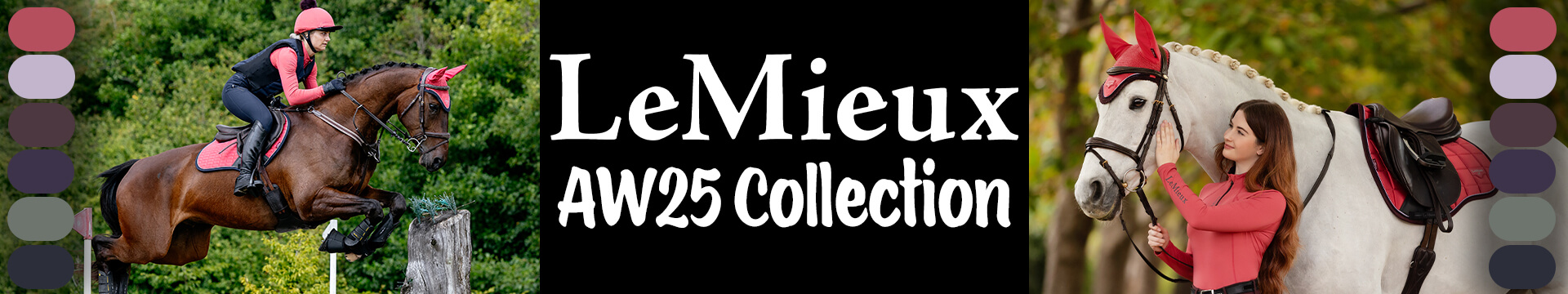 LeMieux Seasonal Colour Collection
