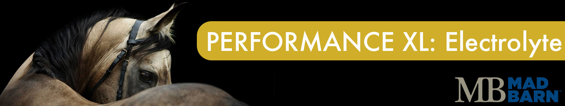 Mad Barn Performance XL: Electrolytes