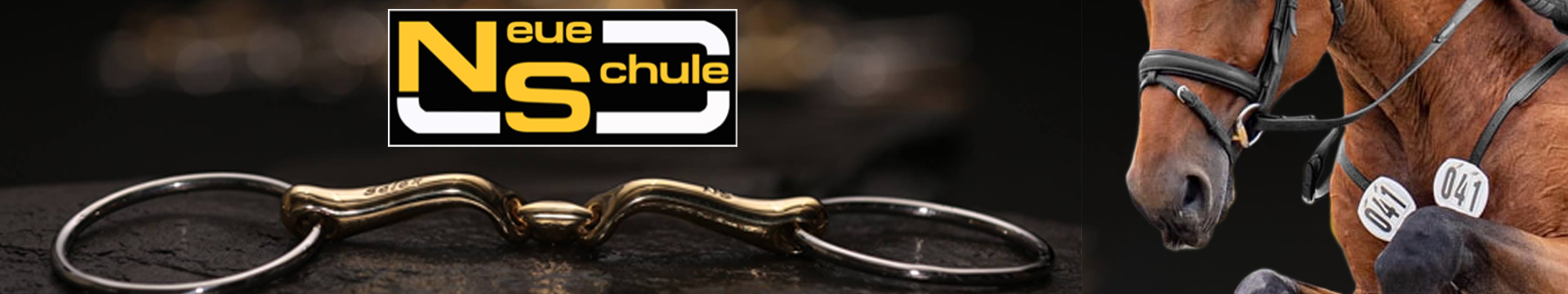 Neue Schule
