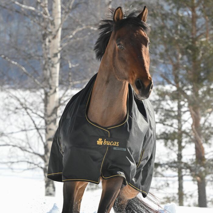 Bucas Irish Turnout Extra 300g Pony 1200D - noir/or