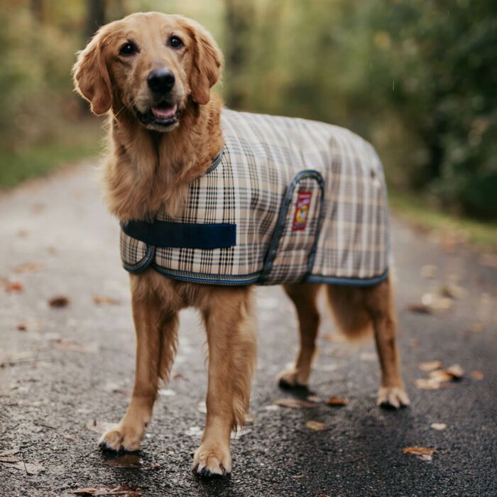 5/A Baker® Medium 200g Turnout Blanket - R.E. Fennell Co. Inc