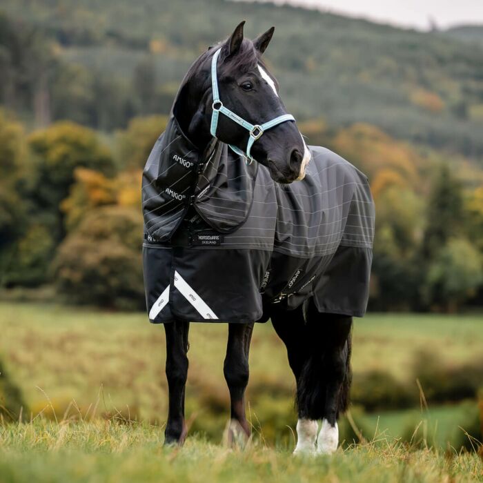 Couverture D'écurie Horseware Amigo 300g - Taille 6'3 - Occasion Bon état