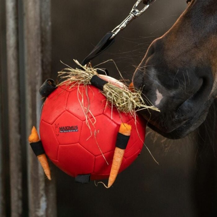Maximus Feed And Play Leckerli-Ball – Beschäftigungsspielzeug Für Pferd & Pony Gegen Langeweile