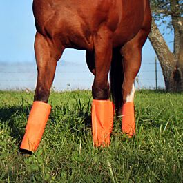 Legging Rose Shoofly Horse – Taille M – Bottes Mouches – Occasion