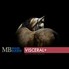 Mad Barn Visceral+ - 20 kg