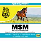 Select the Best MSM Powder - 2 lb