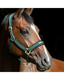 Back on Track Werano Halter