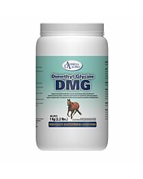 Omega Alpha Dimethylglycine (DMG) - 1 kg