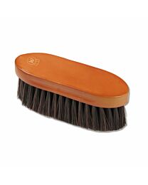 Waldhausen Soft Horsehair Hardwood Coat and Mane Brush