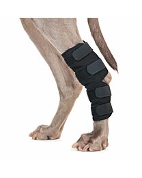 Back on Track Dog Hock Brace