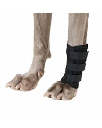 Back on Track Dog Leg Wraps