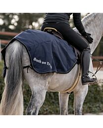 Back on Track Sammy Exercise Rug