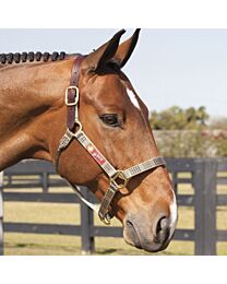5/A Baker Halter with Leather Crown