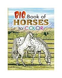 Big Book of Horses to Colour