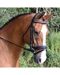 Black Oak Larkspur Dressage Bridle
