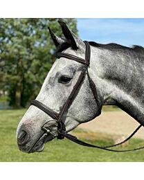 Brighton Square Raised Padded Bridle