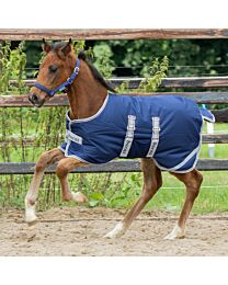 Bucas Foal 50g Turnout Blanket