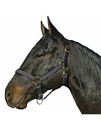Nylon Breakaway Halter