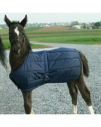 Foal Blanket