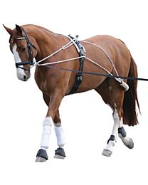 CanPro Lunging System