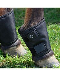 Click Horse Fetlock Shields