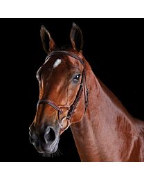 Collegiate ComFiTec Fancy Stitched Bridle