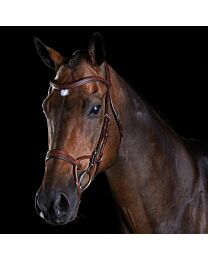 Collegiate ComFiTec Training Bridle