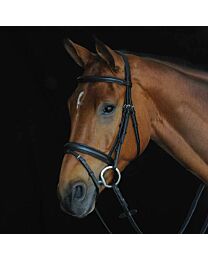 Collegiate Comfort Crown Padded Raised Flash Bridle