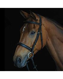 Collegiate Comfort Crown Padded Raised Cavesson Bridle