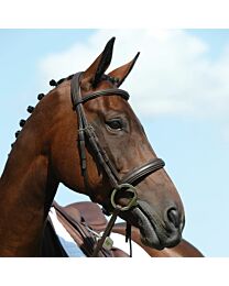 Collegiate Syntovia+ Padded Raised Cavesson Bridle