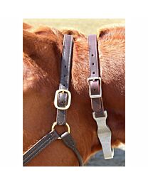 Leather Cribbing Collar