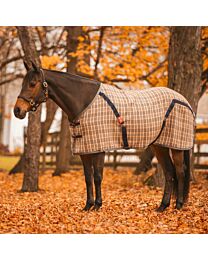 5/A Baker Stable Sheet