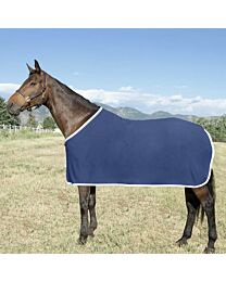 5/A Baker Wick 'N Dry Dress Sheet