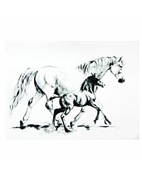 Elise Genest "Cigogne & Perseide" Greeting Card