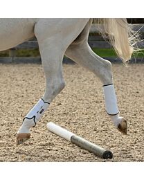 EquiFit MultiTeq Tall Hind Boots
