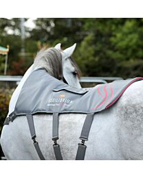Equilibrium Heatsense Massage Pad