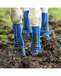 Equilibrium Equi-Chaps Close Contact