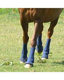 Equilibrium Equi-Chaps Hardy Chaps