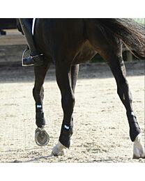 CLEARANCE - Equilibrium Stretch & Flex Flatwork Wraps