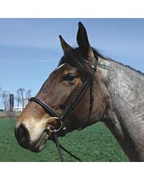HDR Advantage Draft Bridle