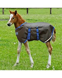 Horseware Amigo Ripstop 900D Foal 50g Turnout Blanket