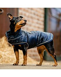 Horseware Signature 200g Medium Dog Rug - XXS - Medium