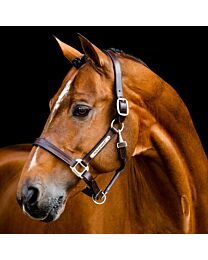 Horseware Signature Leather Halter
