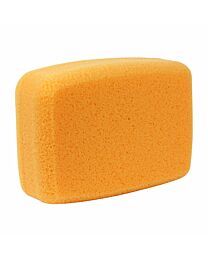 Hydra Bath Sponge