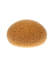 Hydra Honeycomb Tack Sponge
